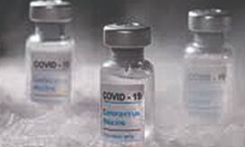 Vaccine will be equally effective against new mutant of Coronavirus: CSIR DG Vaccine will be equally effective against new mutant of Coronavirus: CSIR DG