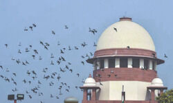 SC accepts open letter filed by Punjab University students seeking justice for injured farmers