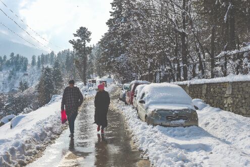 Cold wave conditions intensify in N India Cold wave conditions intensify in N India