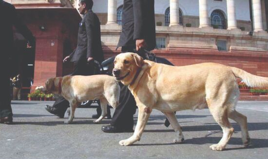 Over 2,300 dogs, 1,415 horses serving police across India
