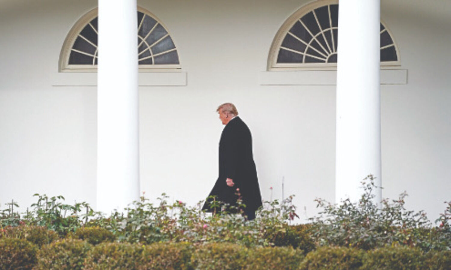 Trump extends freeze on H-1B, other work visas until Mar 31