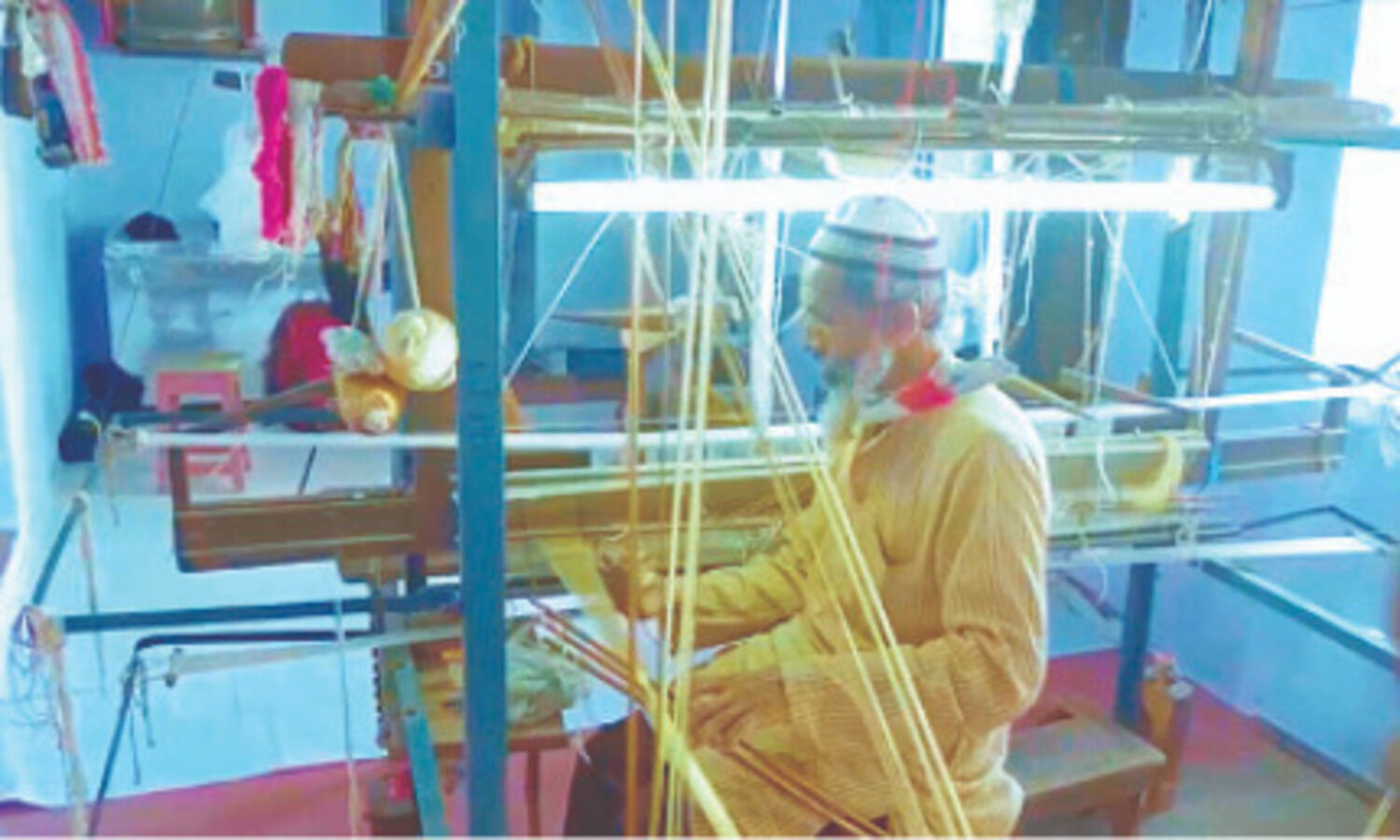 TRIFED working for GI Tag   for tribal products