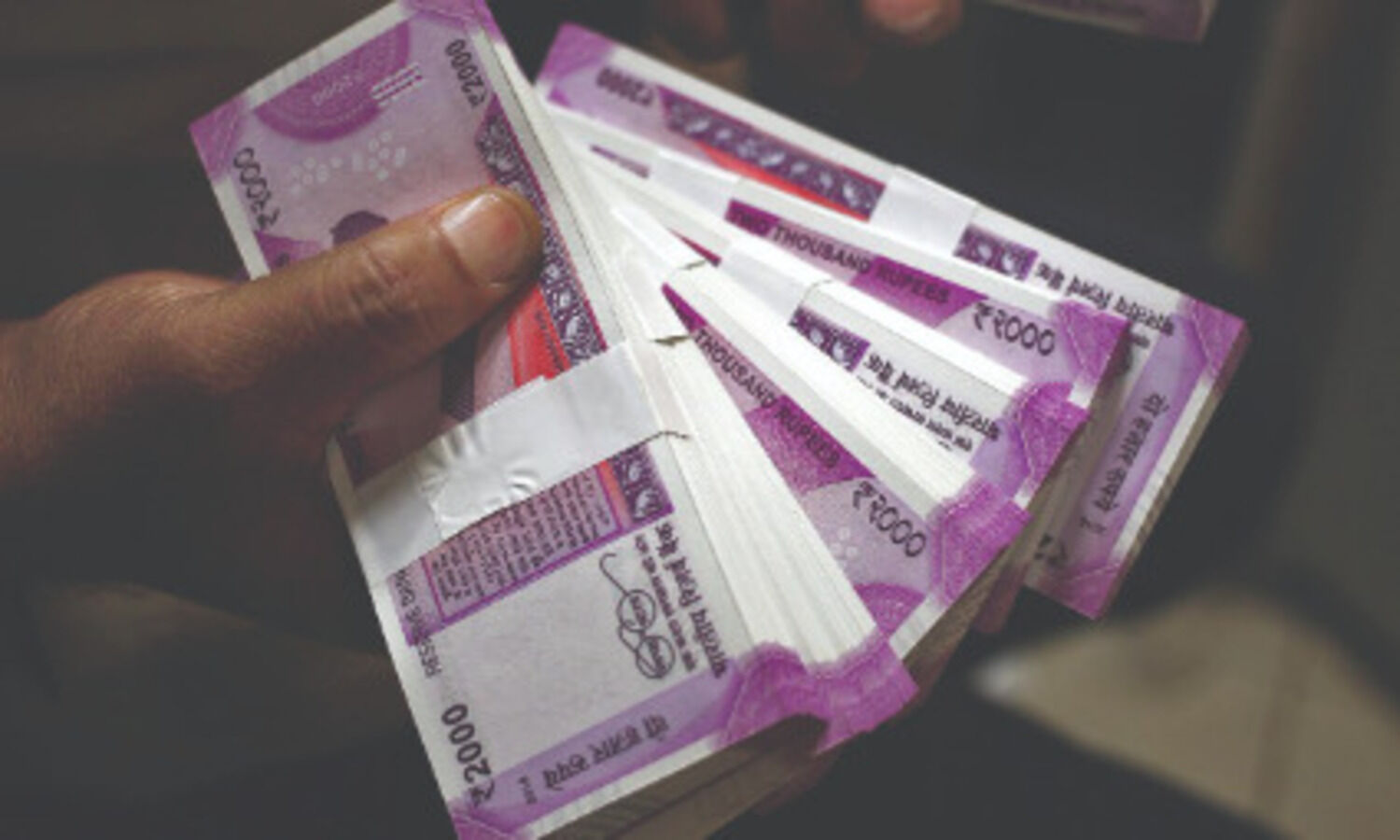 CAG seeks performance audit   details of PSBs recapitalisation