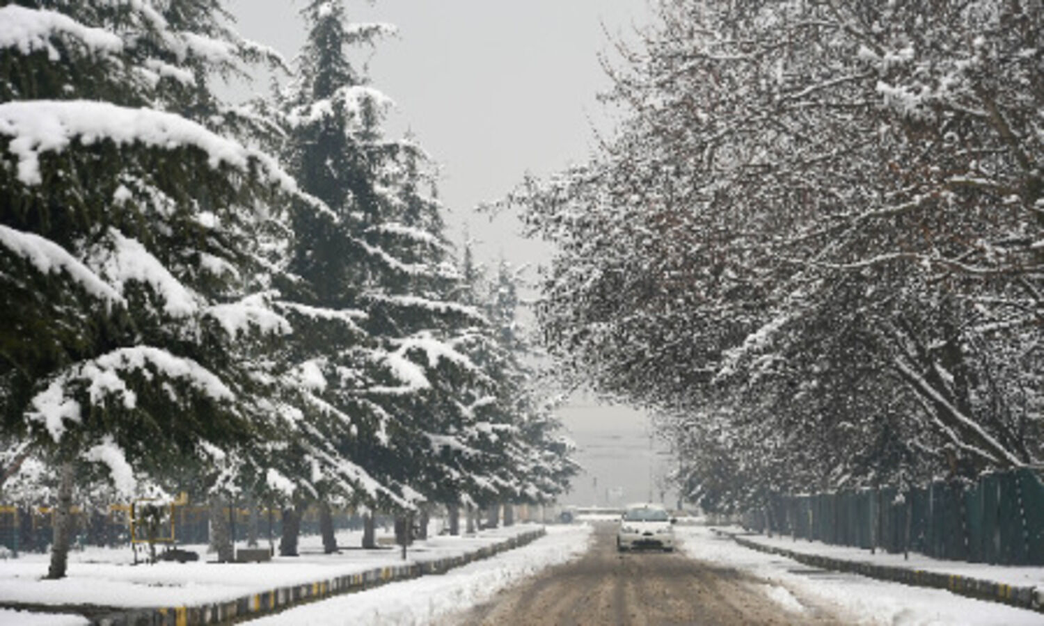 Flight operations at Srinagar airport suspended for third consecutive day