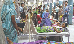 Hard knocks Hard knocks