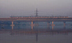 High ammonia in Yamuna: After DJB plaints, NGT takes cognizance of issue High ammonia in Yamuna: After DJB plaints, NGT takes cognizance of issue