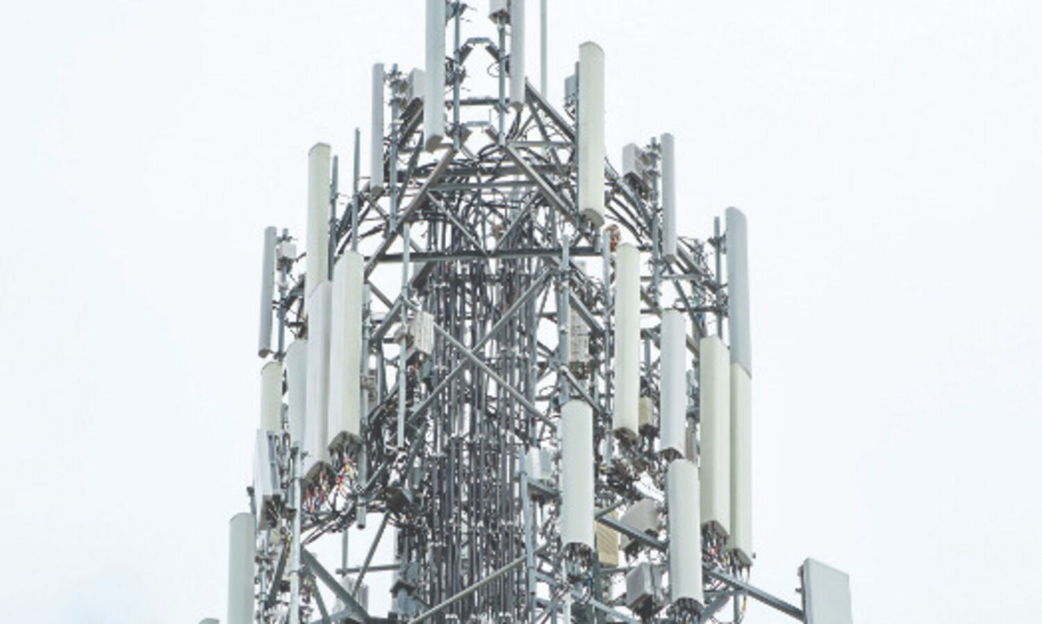 Telcos may get some airwaves for less than half price paid earlier