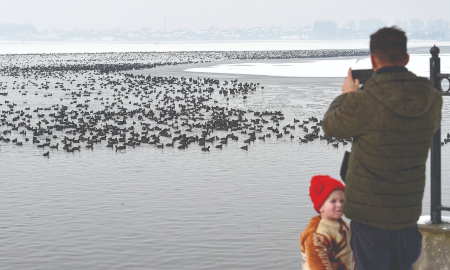 Cold conditions persist in N India; Kashmir receives fresh snowfall