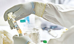 Capital sees 519 cases, 12 deaths Capital sees 519 cases, 12 deaths