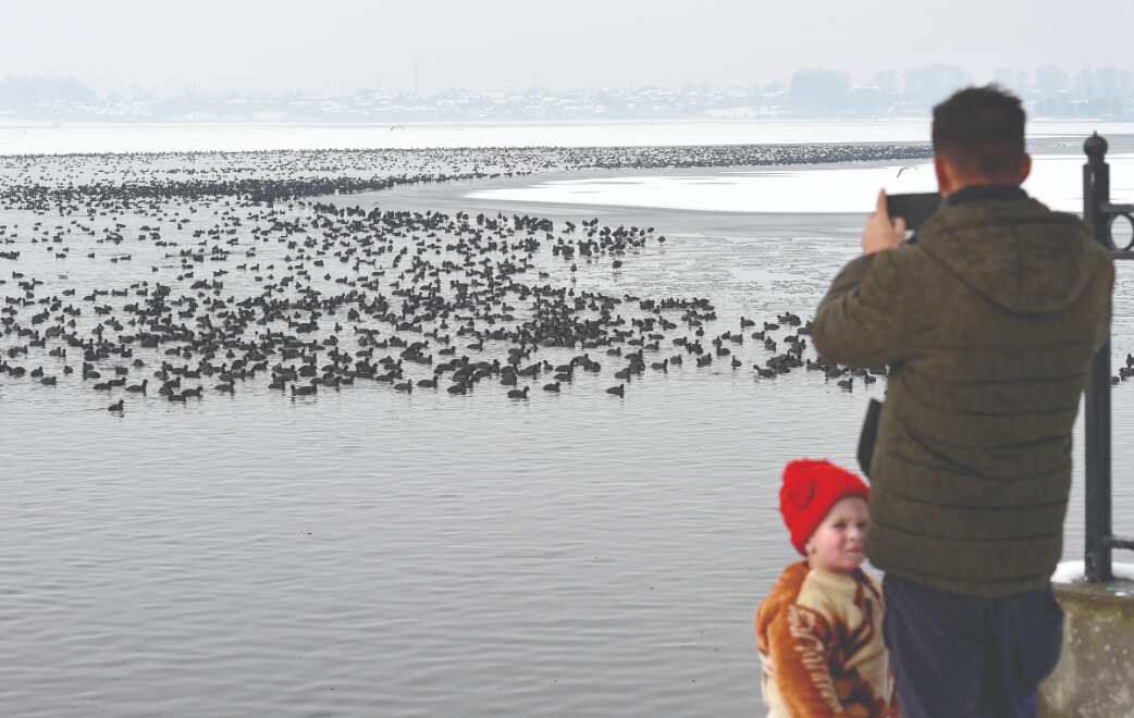 Cold conditions persist in N India; Kashmir receives fresh snowfall