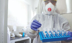 GPS system to be fitted in vans transporting Covid-19 vaccines GPS system to be fitted in vans transporting Covid-19 vaccines