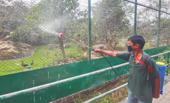 Submit daily report to Central Zoo Authority: Centre to zoos Submit daily report to Central Zoo Authority: Centre to zoos