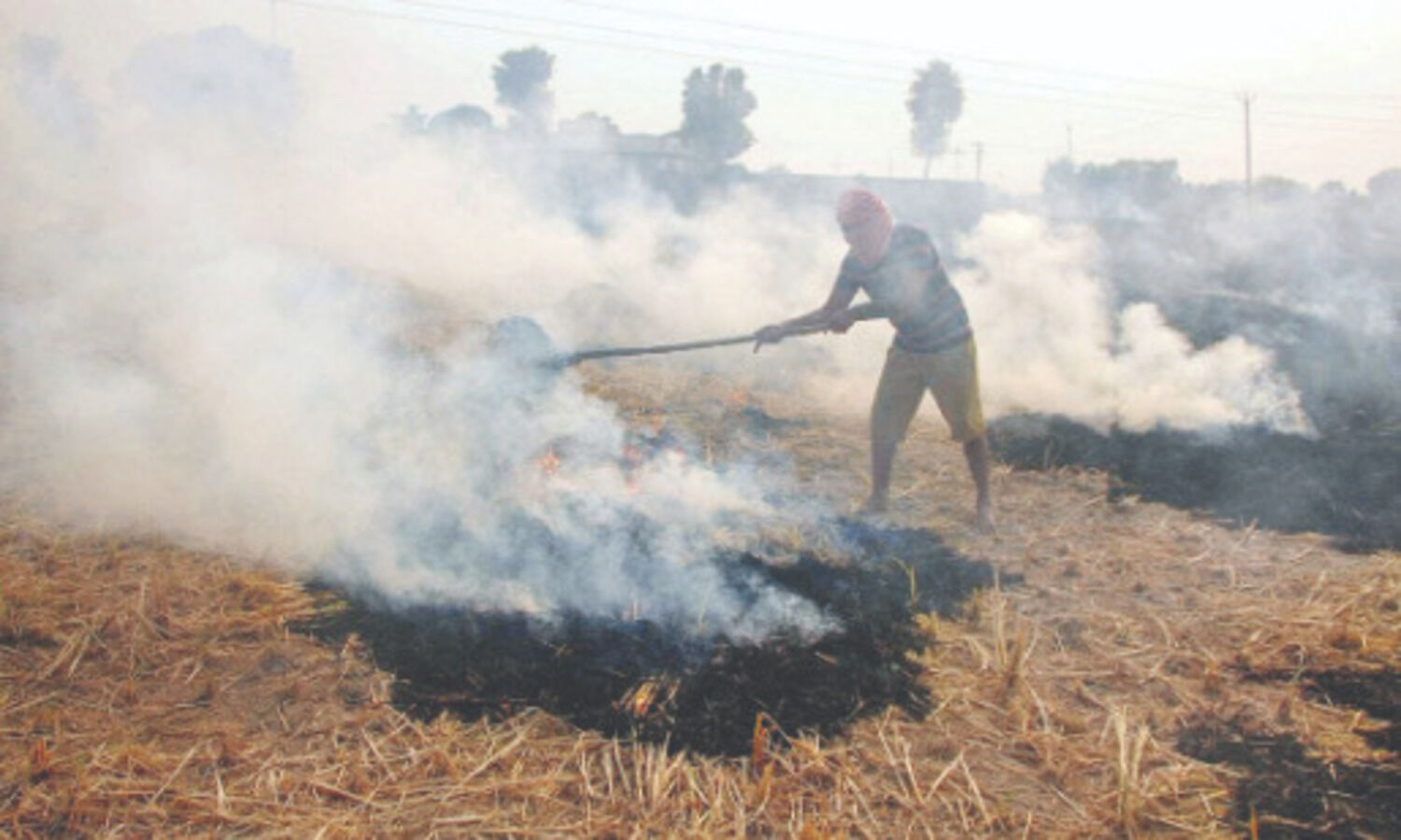 Come out with concrete steps to deal with stubble burning: SC
