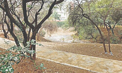 MCG awards 1,500 sq m Aravallis land to petrol pump, residents erupt in protest MCG awards 1,500 sq m Aravallis land to petrol pump, residents erupt in protest