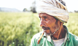 Farmers need support, period Farmers need support, period