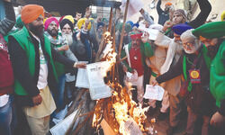Heaps of firewood brought in, a bonfire per trolley & festive food Heaps of firewood brought in, a bonfire per trolley & festive food
