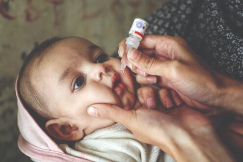 Govt defers national polio immunisation programme Govt defers national polio immunisation programme