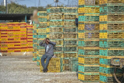 All samples taken from Ghazipur chicken market test negative for bird flu: Official