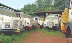 Weighing the options