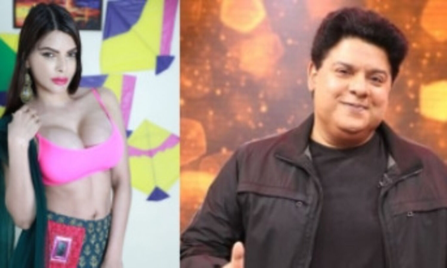 Sherlyn Chopra: Sajid Khan should issue a public apology