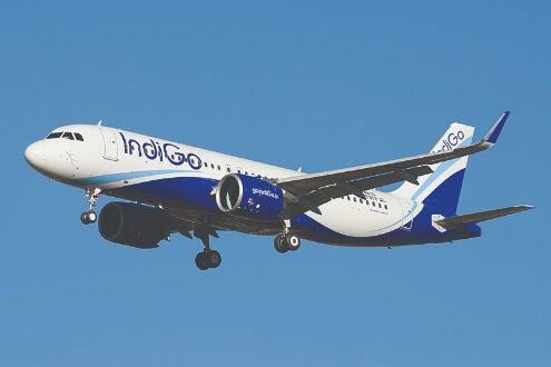 IndiGo tightens grip in India, targets growth abroad