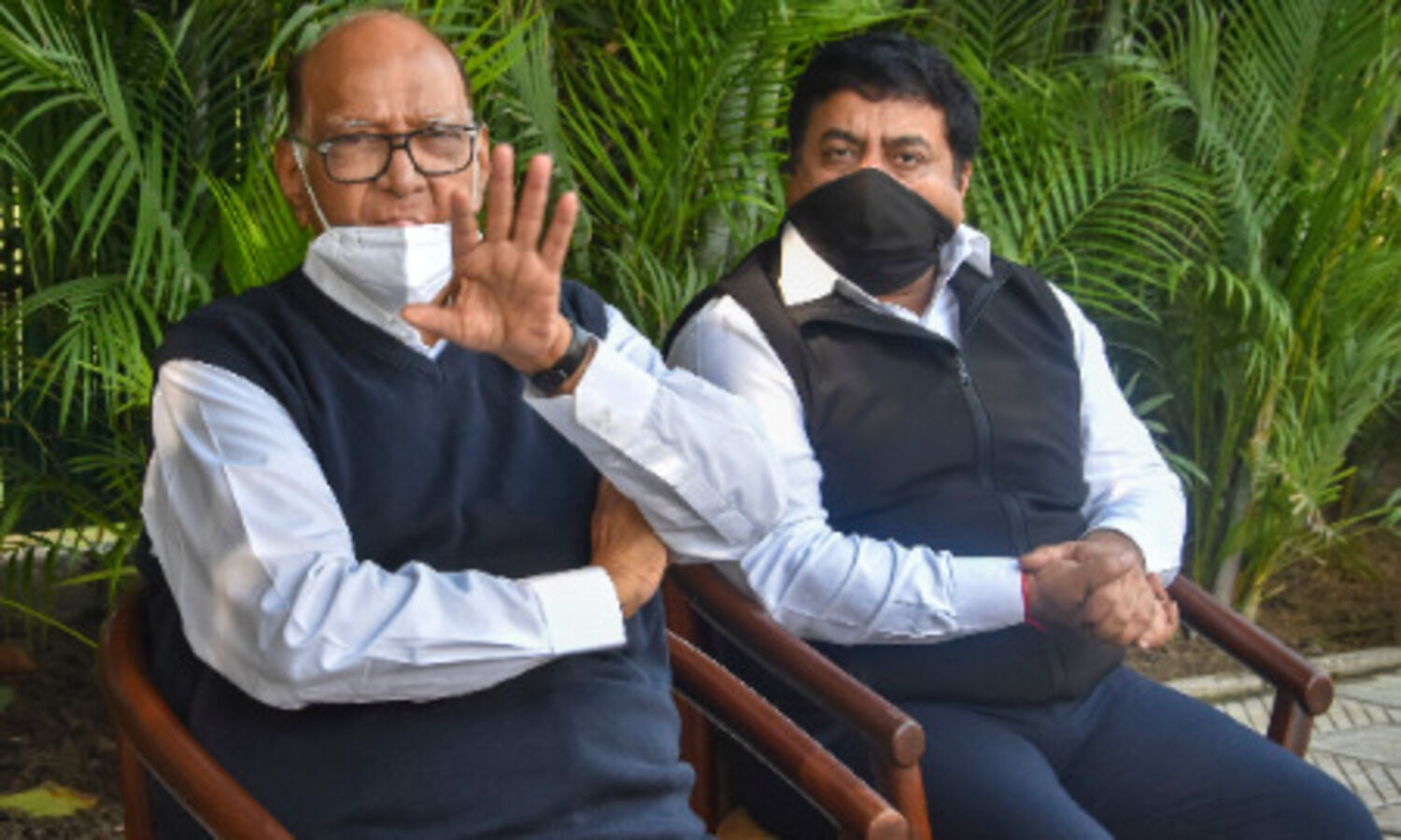 New agri laws will undercut MSP procurement, Mandi system: Pawar
