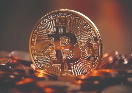 Govt to ban cryptocurrencies,   create official digital currency