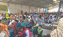 Libraries at Singhu soar in popularity following orders suspending Internet Libraries at Singhu soar in popularity following orders suspending Internet