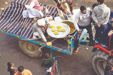 Sugarcane, potatoes & flowers — How farmers are transforming protest sites