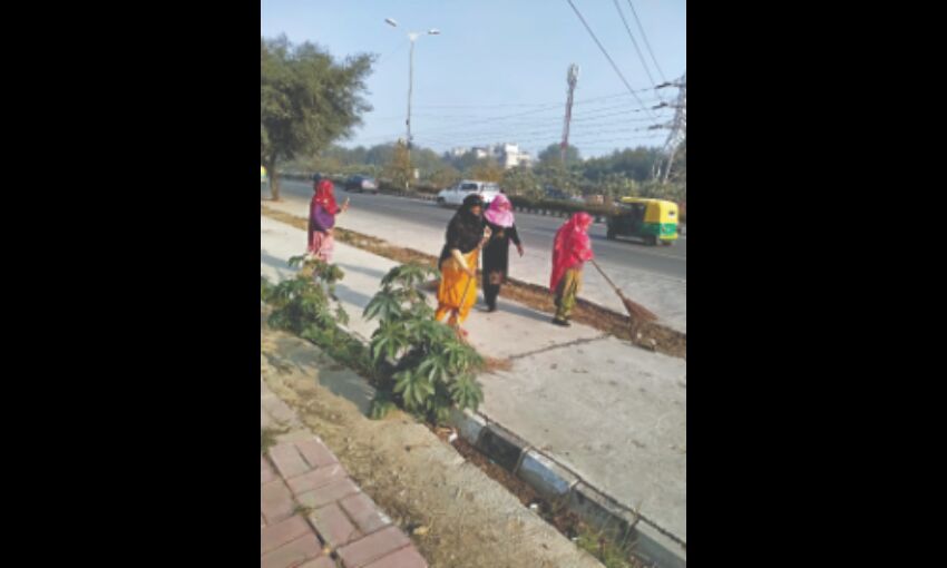 SDMC conducts plastic waste removal drive SDMC conducts plastic waste removal drive