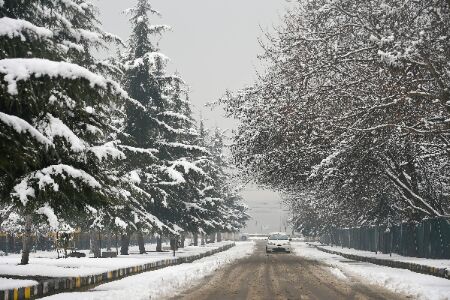 Rise in minimum temp in almost all of Kashmir Rise in minimum temp in almost all of Kashmir