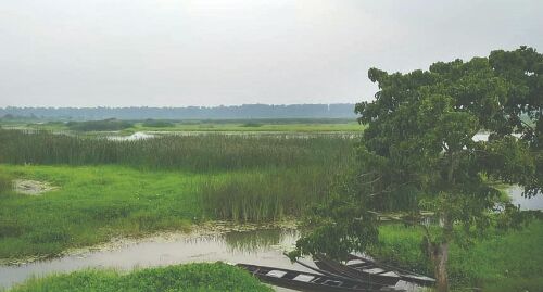 North Bengal turns birding hotspot