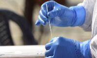 No data on efficacy of Indias vaccines against South African, Brazilian strains No data on efficacy of Indias vaccines against South African, Brazilian strains