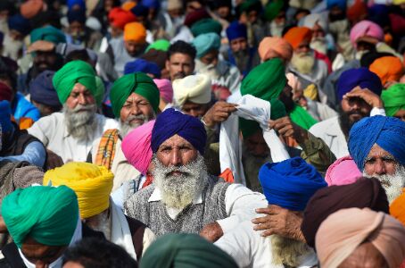 Punjab: Farmer, son commit suicide over farm laws, debt Punjab: Farmer, son commit suicide over farm laws, debt
