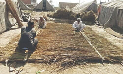 Shahjahanpur: Protesting farmers now building huts for summer Shahjahanpur: Protesting farmers now building huts for summer