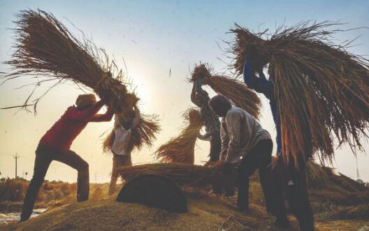 Govt finalises products to boost exports, increase farmers income Govt finalises products to boost exports, increase farmers income
