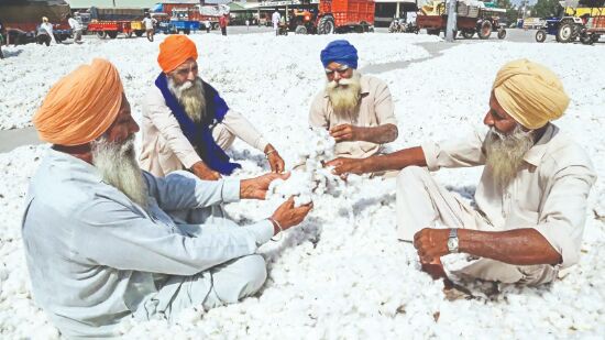 Pakistan may resume import of cotton from India Pakistan may resume import of cotton from India