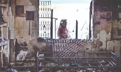 Interactions with police have led to a complete breakdown of trust for many Interactions with police have led to a complete breakdown of trust for many