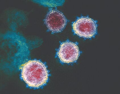 Some Coronavirus mutations may help it evade immune systems T-killer cells, say scientists