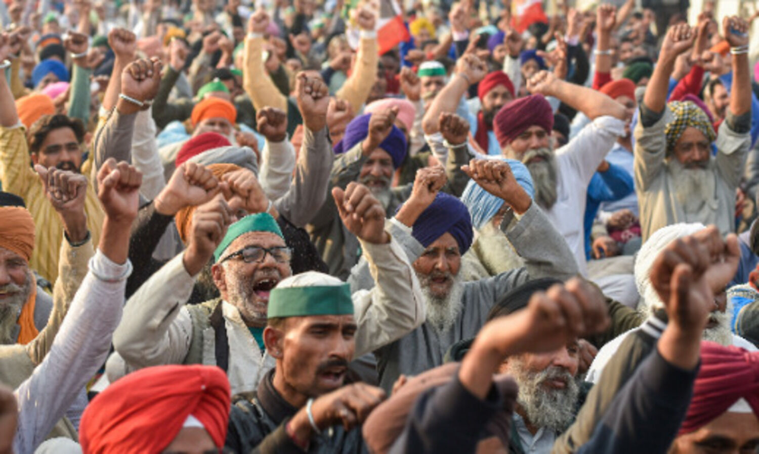 Another farmer from Haryana commits suicide near Tikri border