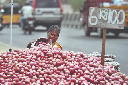 India exports 87,000 tons of onion during Jan-Feb