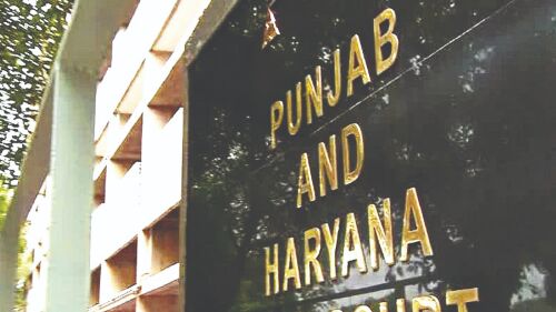 Safe houses be made available in Pb, Hry for couples marrying against familys wishes Safe houses be made available in Pb, Hry for couples marrying against familys wishes