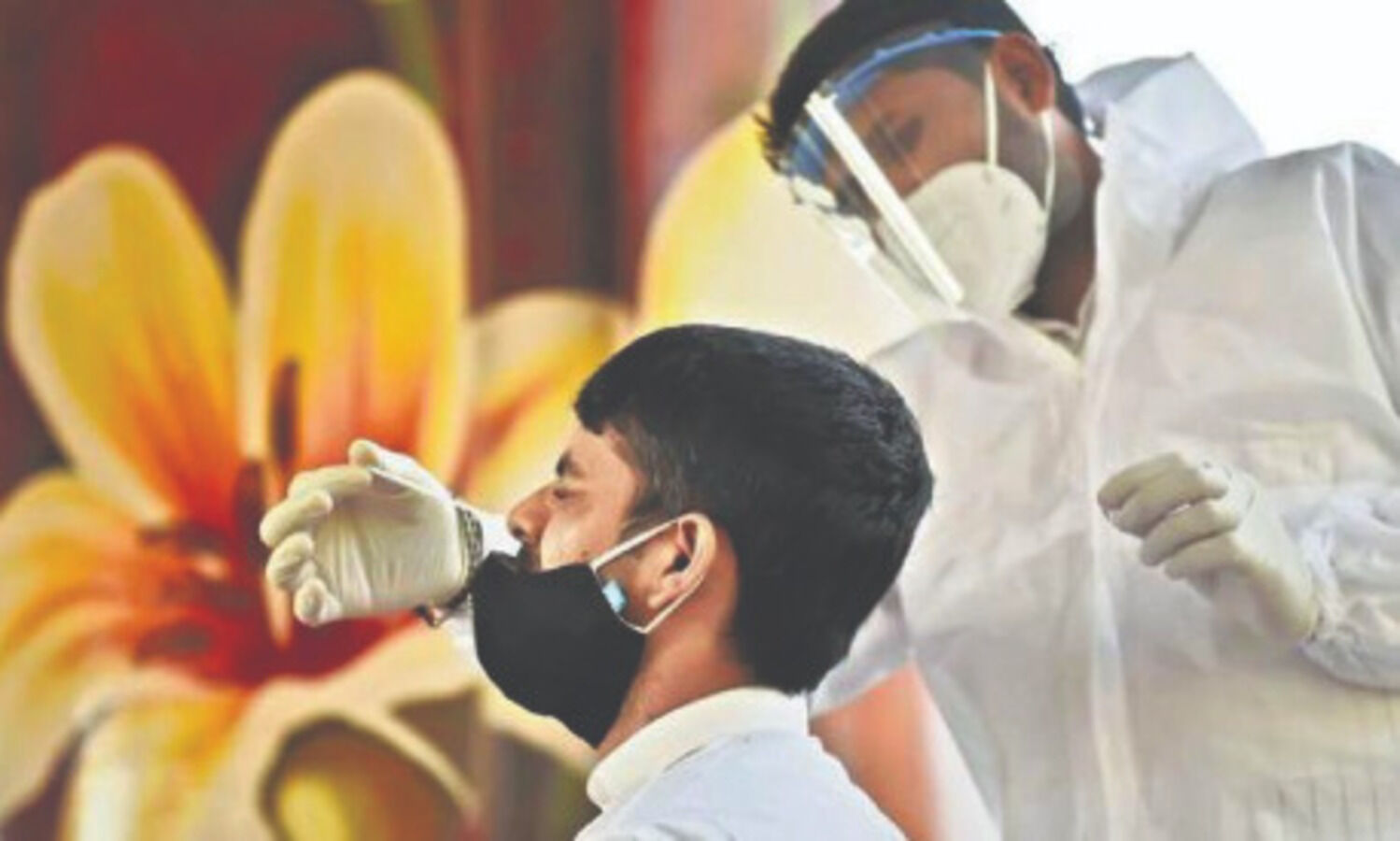 Capital records 419 fresh cases