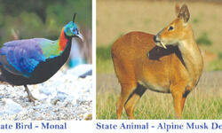 Highlanders own state Highlanders own state