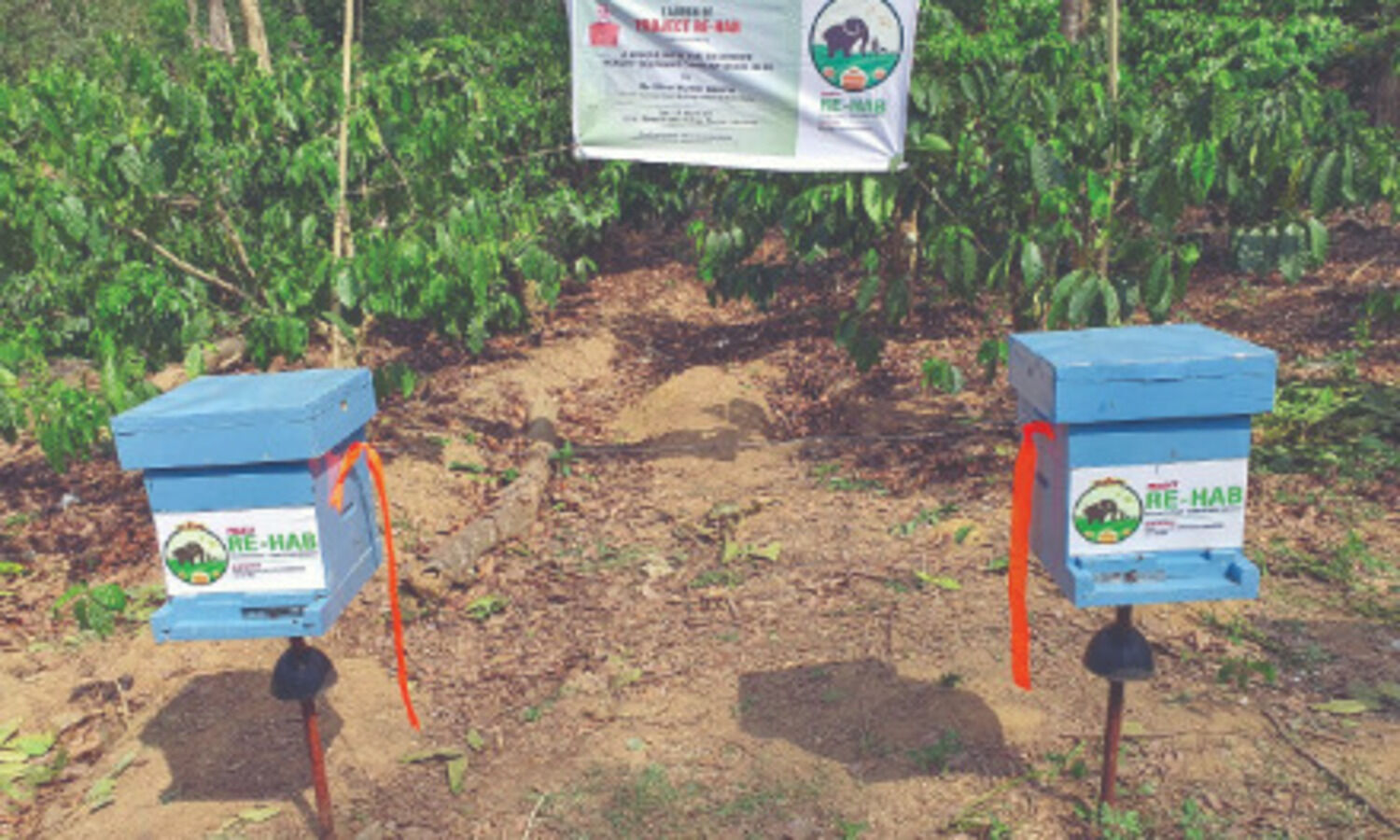 KVICs RE-HAB project to prevent elephant-human conflict using bees