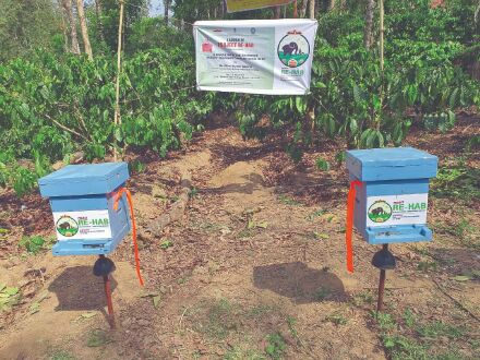 KVICs RE-HAB project to prevent elephant-human conflict using bees