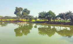 Ggm all set to revive over 60 defunct water bodies