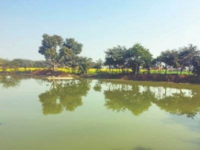 Ggm all set to revive over 60 defunct water bodies