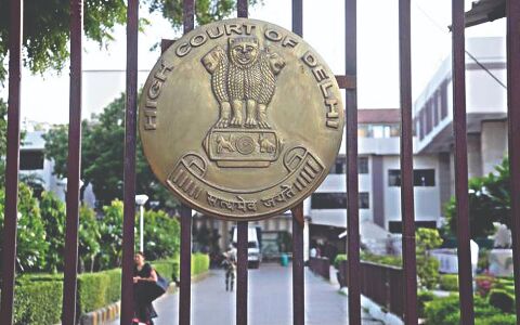 Set up board to examine X-Ray report of dead farmer Set up board to examine X-Ray report of dead farmer