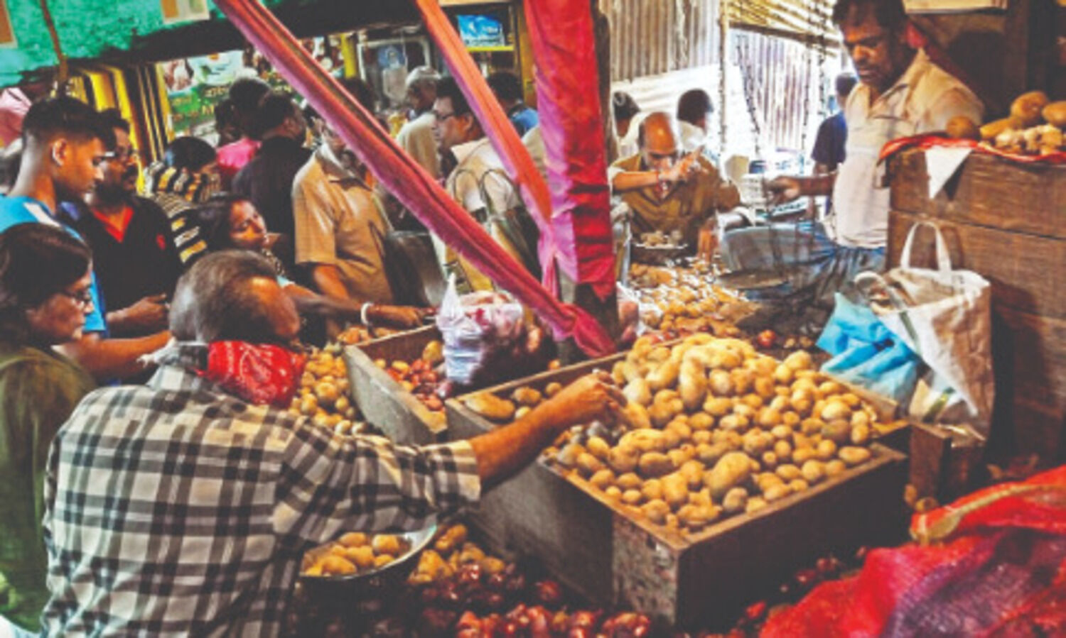 Prices of Potato crash 50% to   `5/kg on account of good crop